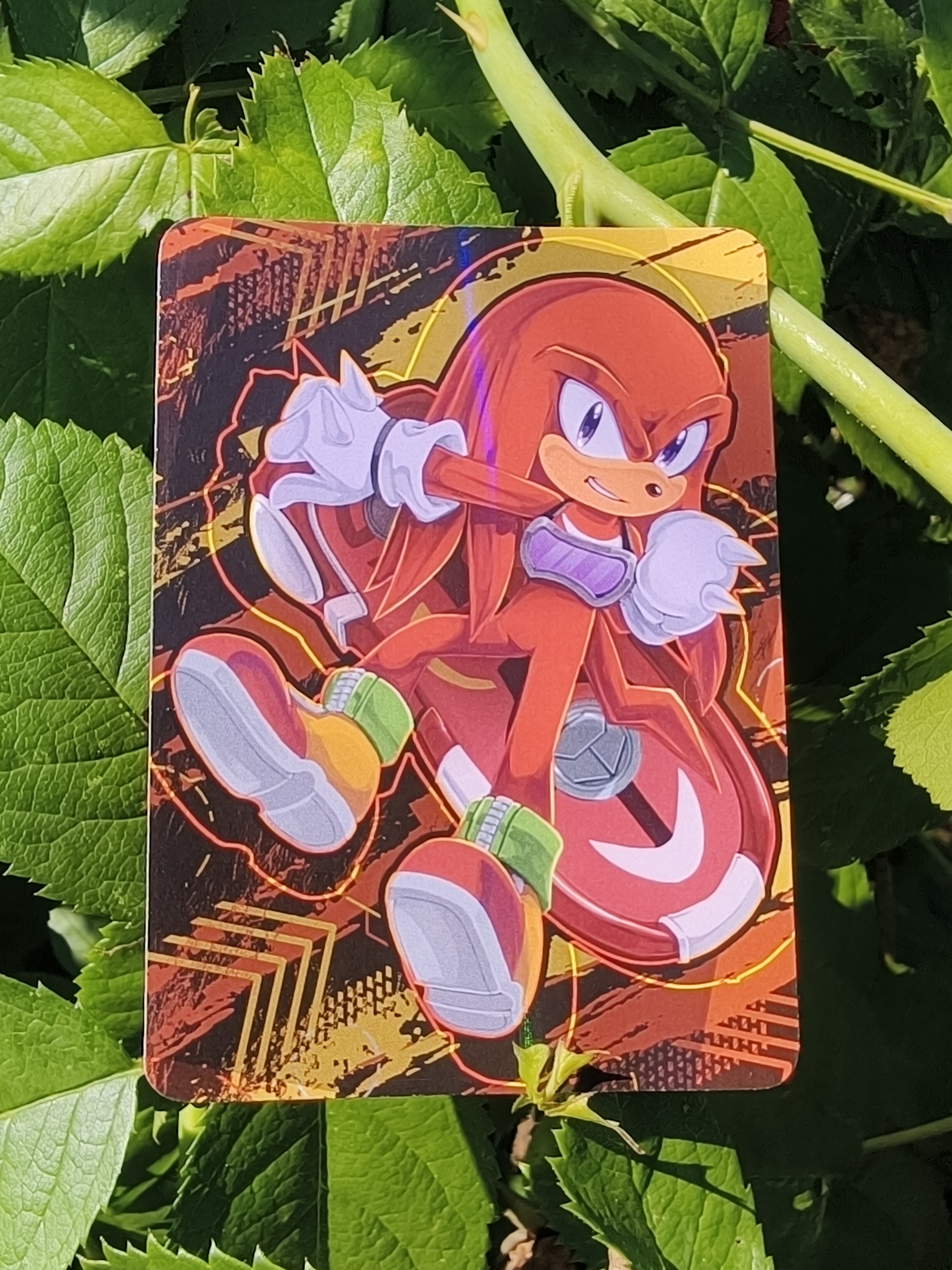 Карточка "Гонщики Соника"/Sonic Riders Наклз