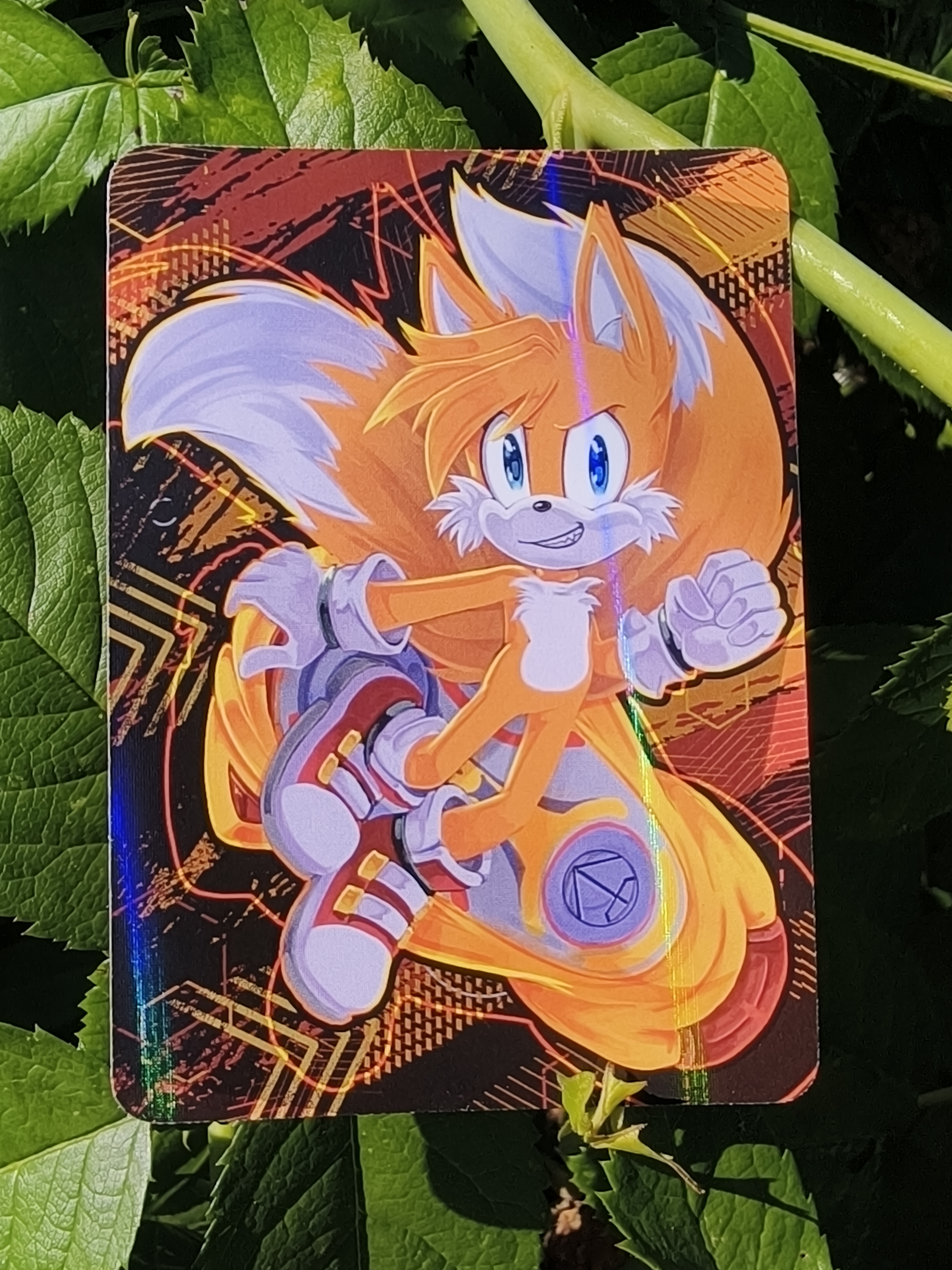 Карточка "Гонщики Соника"/Sonic Riders Тэйлз