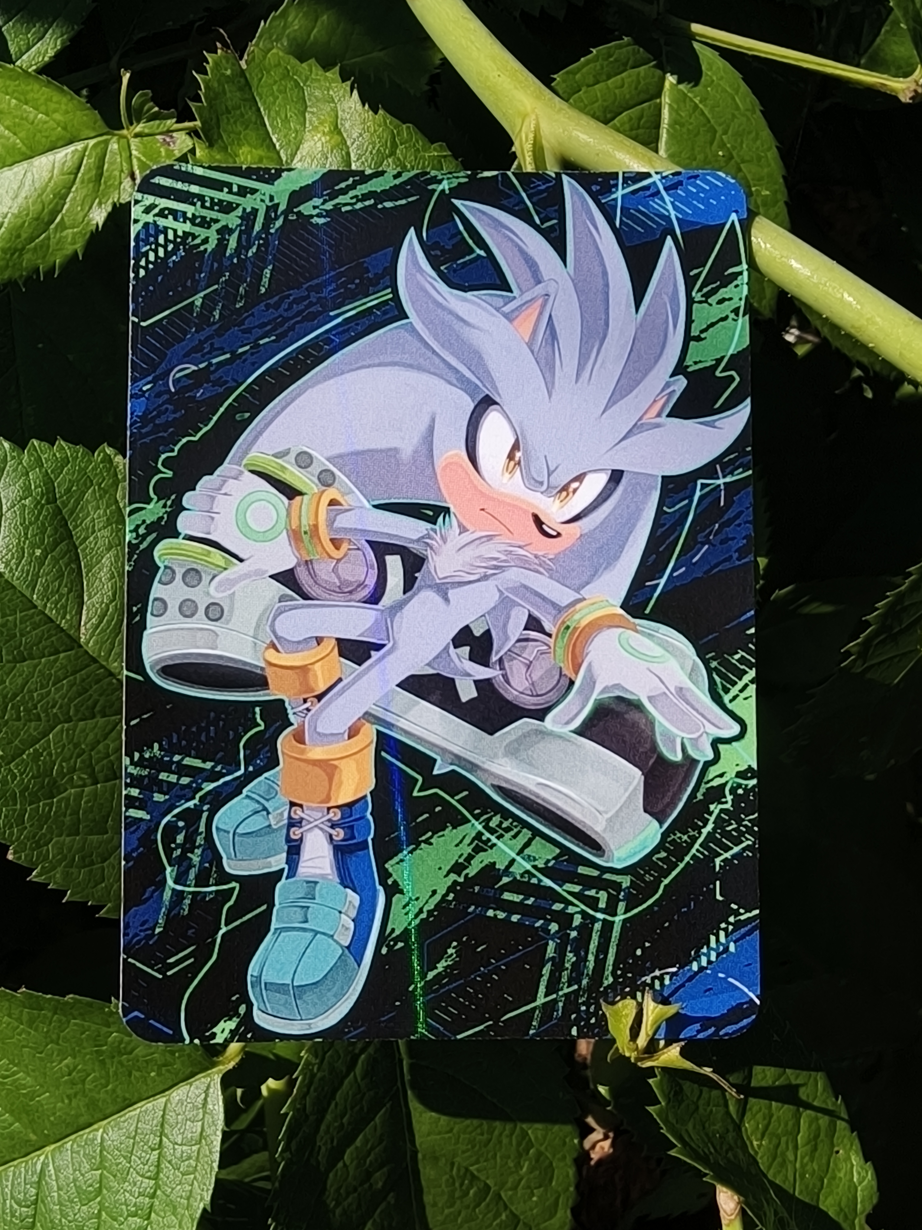 Карточка "Гонщики Соника"/Sonic Riders Сильвер