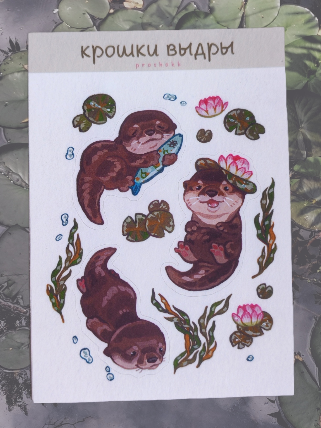 Крошки выдры