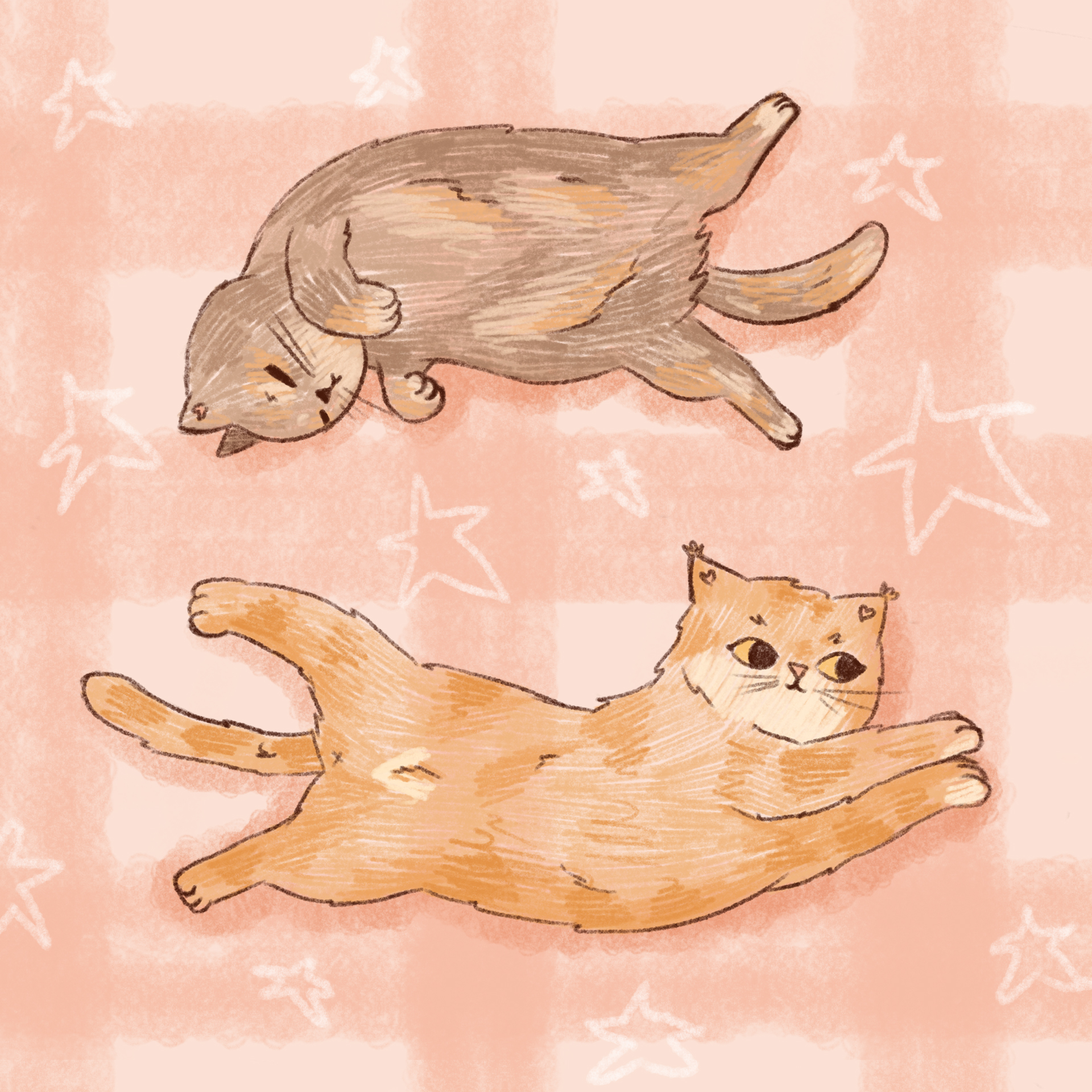 author-1791-7d4a2c00