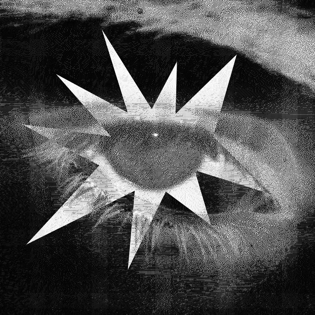 author-1277-f90700bb